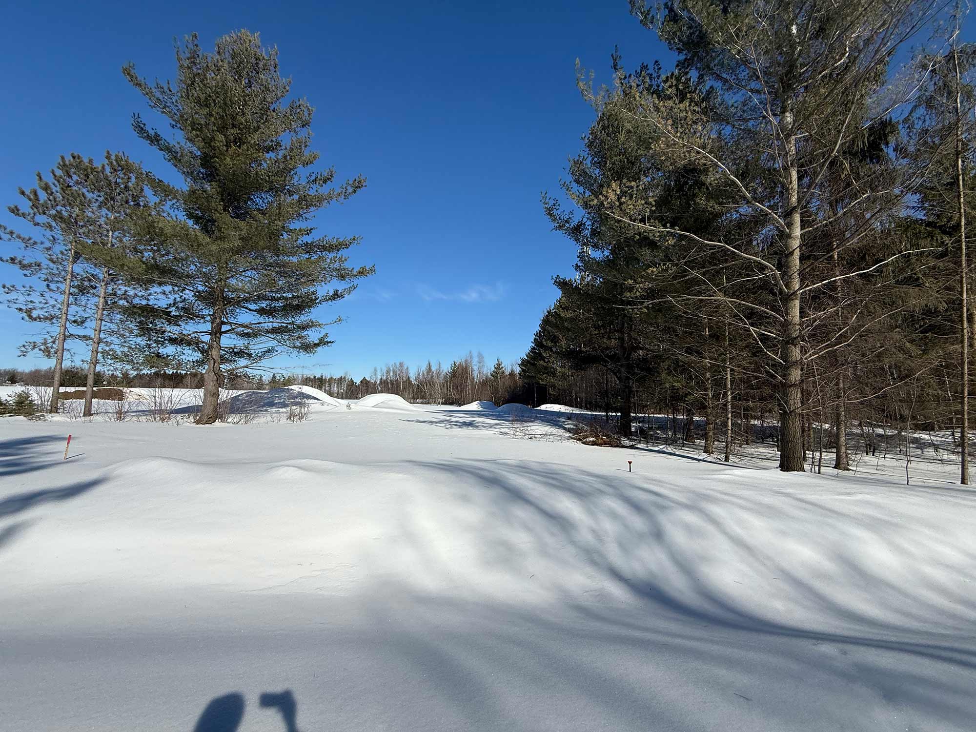 Photo du terrain 1