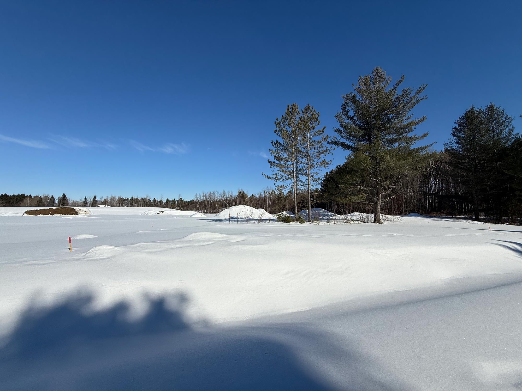 Terrain 2 — paysage hivernal