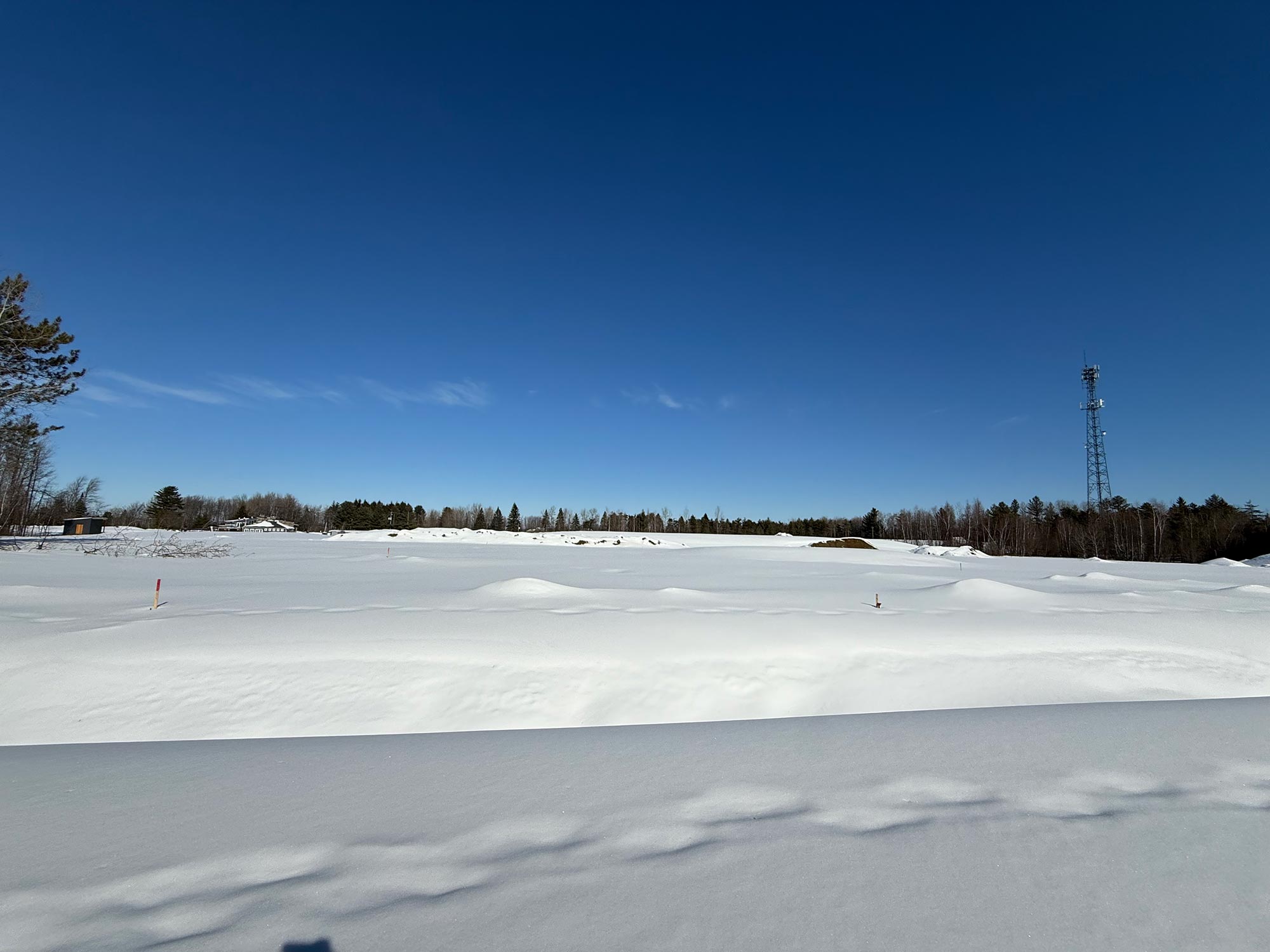 Terrain 5 — paysage hivernal
