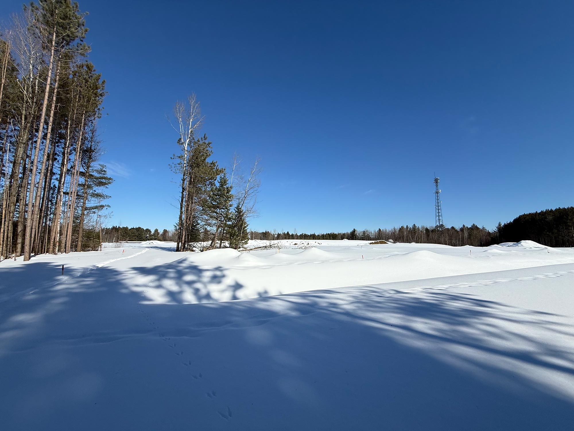 Terrain 6 — paysage hivernal