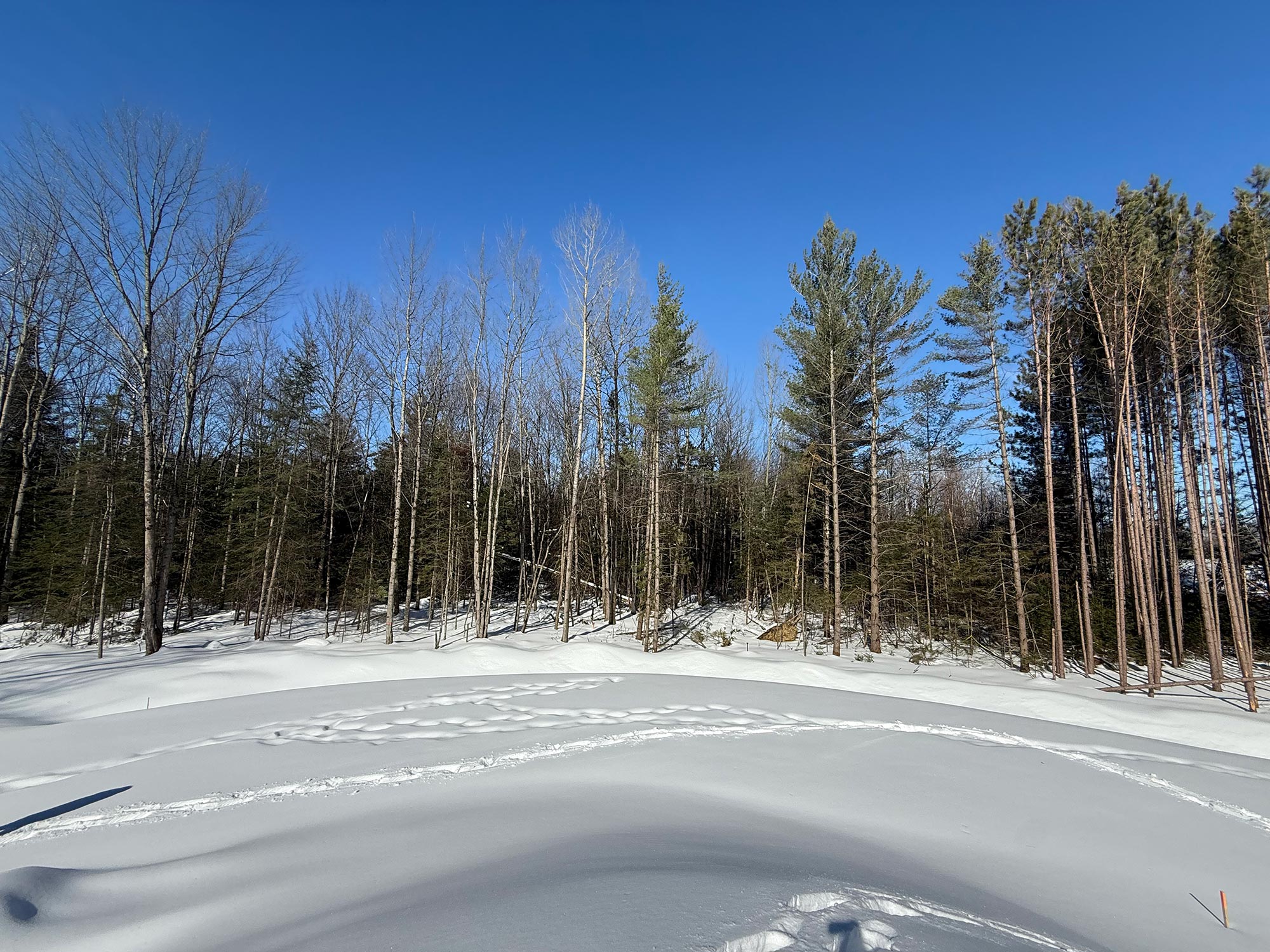 Terrain 9 — paysage hivernal