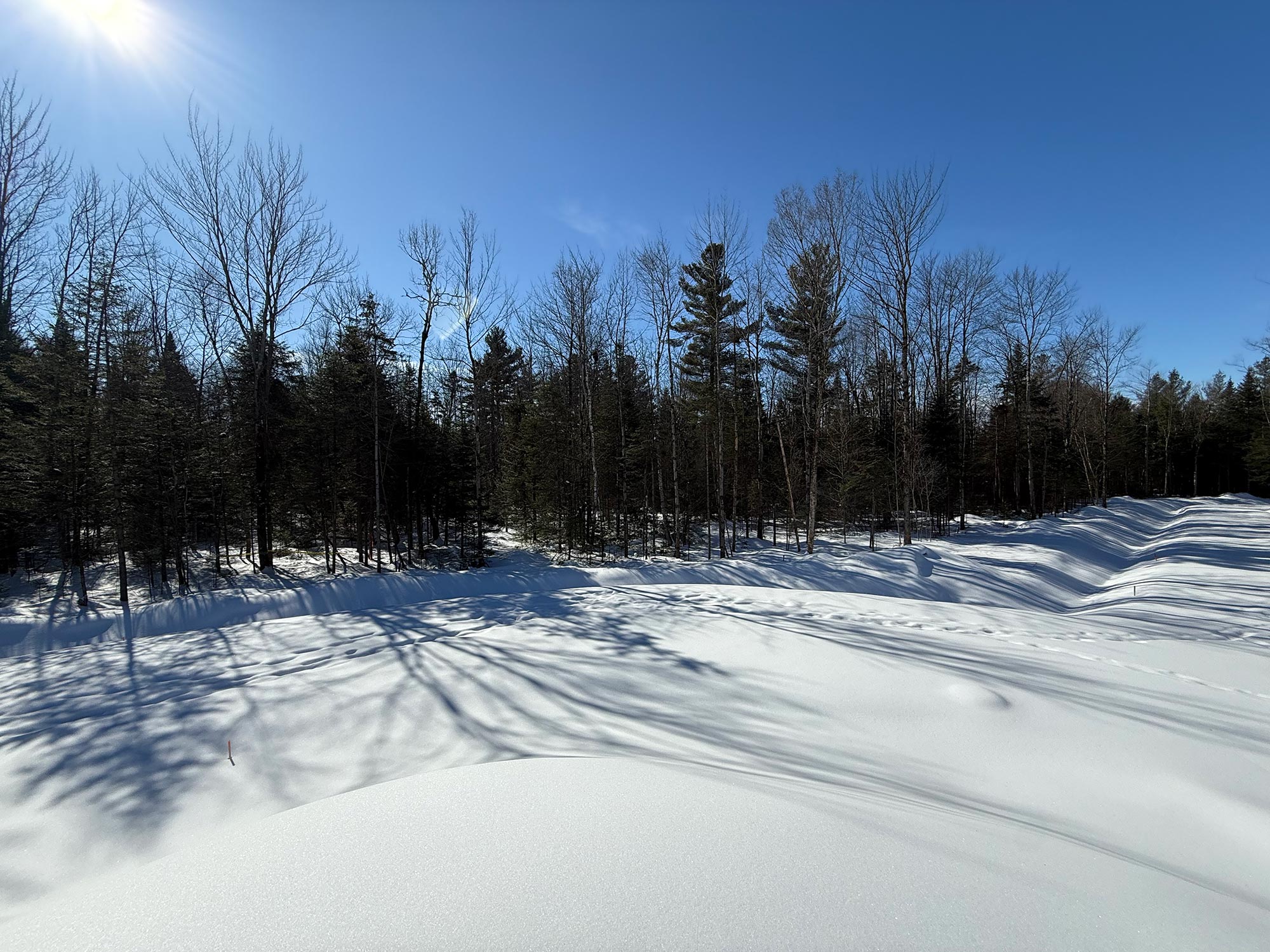 Terrain 10 — paysage hivernal