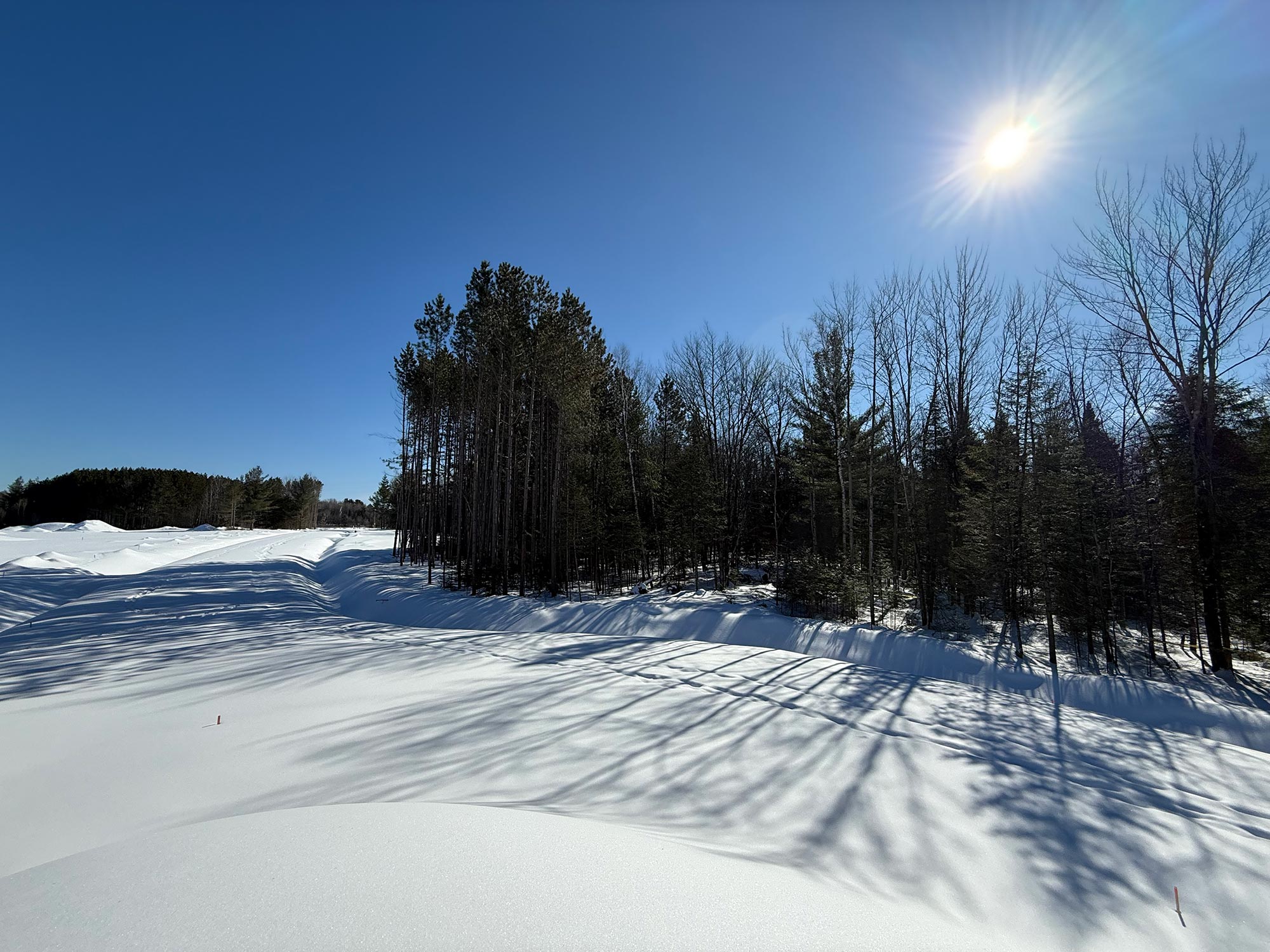Terrain 11 — paysage hivernal