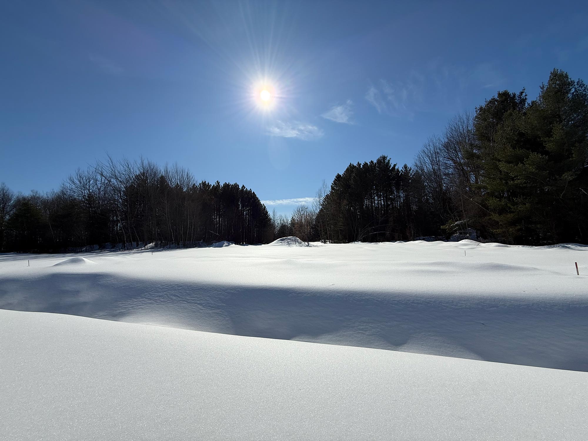 Terrain 12 — paysage hivernal
