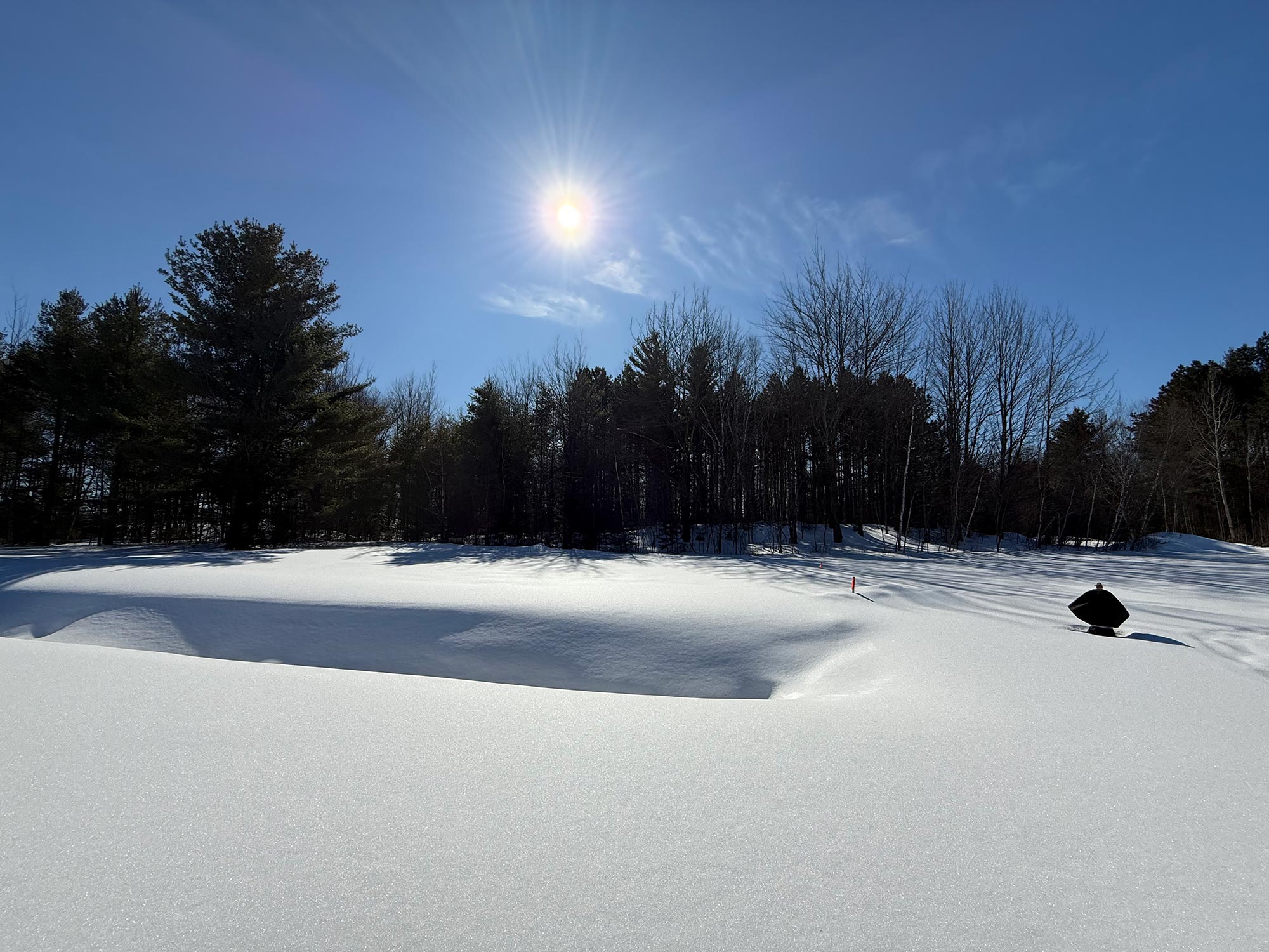 Terrain 14 — paysage hivernal