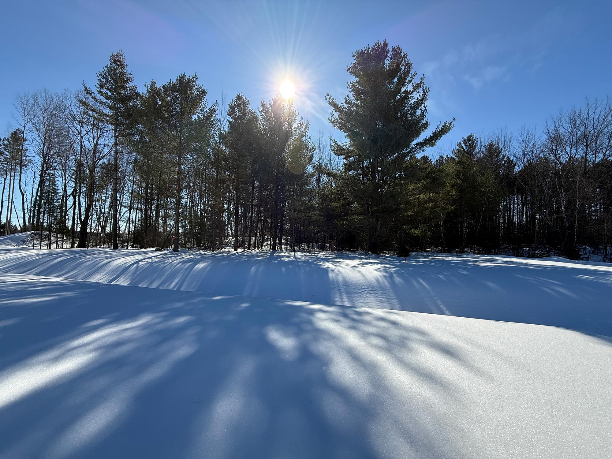 Terrain 15 — paysage hivernal