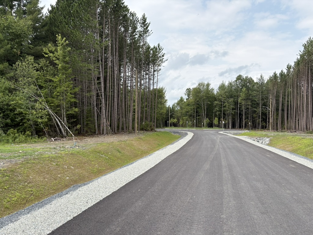 Rue asphaltée bordée de grands pins au Boisé du Golf